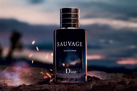 dior sauvage parfum description|dior sauvage best price.